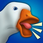 GOOSE.IO